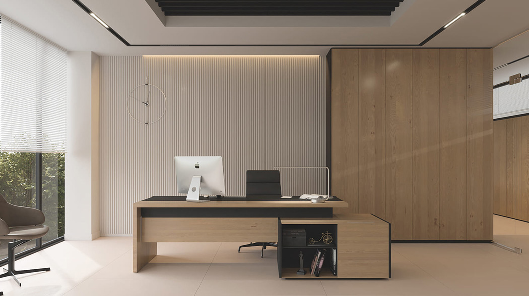 Economy office design in a modern style